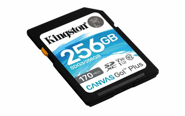 Kingston Technology Canvas Go! Plus 256 GB SD UHS-I Klasse 10